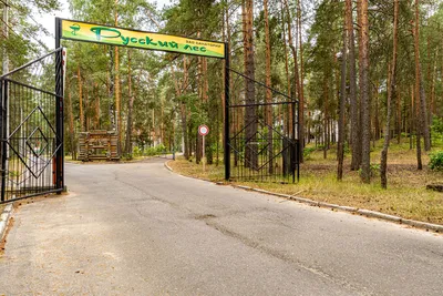 Русский лес санаторий, Sobinka - обновленные цены 2023 года