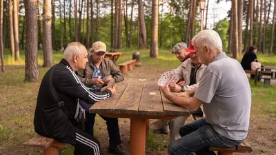 Санаторий «Русский лес» официальный сайт Владимирская область