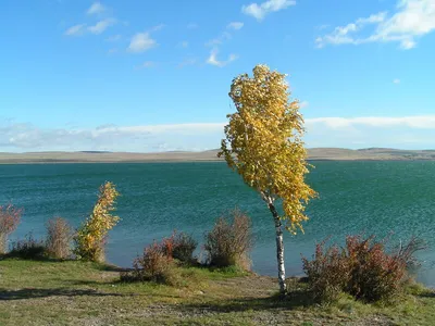 Lake Shira - All You Need to Know BEFORE You Go (with Photos)