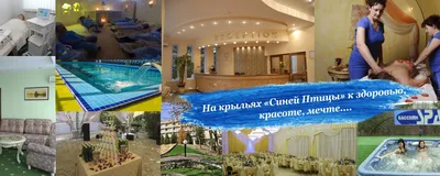 Санаторий Синяя птица 3*, Балаково, Саратовская область - официальные цены  2024