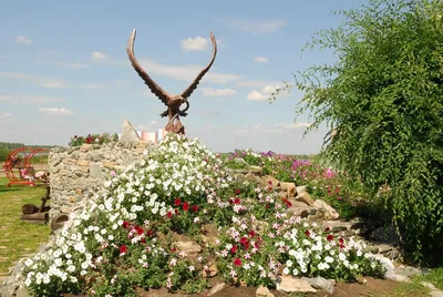 Санаторий «Тараскуль» в Тюмени (Россия) - отзывы, цены на туры, адрес на  карте.