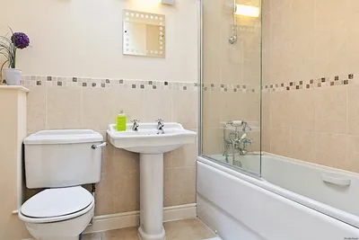 Дизайн интерьера ванной \"Дизайн раздельного санузла\" | Портал Люкс-Дизайн.RU