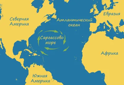 Саргассово море — самое загадочное и опасное место в Атлантическом океане |  Простым языком | Дзен