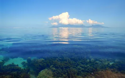 Где находится море без берегов? — интересные статьи — Magicwaters