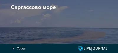 Саргассово море без берегов (54 фото) - 54 фото