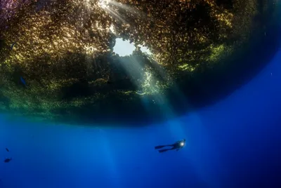 В Тихом океане есть «пустыня» с самой чистой морской водой в мире (видео).  Названа самая глубокая река на планете