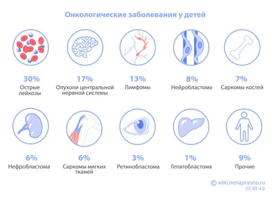 Что такое венерическая саркома?