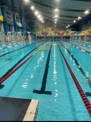 Где поплавать в бассейне в Раменском: 5 мест — Яндекс Карты