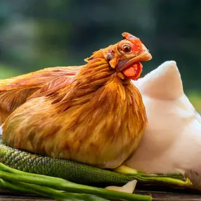 Сазан, спрятанный в курице» — создано в Шедевруме