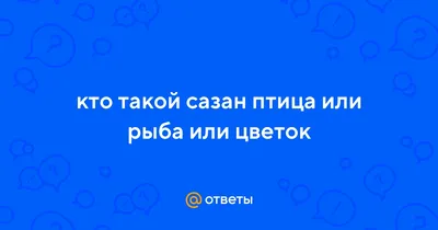 Вольный, гордый и могучий орлан: как самая большая птица России после  исчезновения вернулась в Донской край