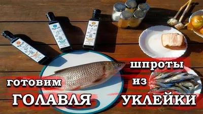 Продам/купить себель / Верховодка/ Уклейка / Верховка / Чебанчик, Вяленая —  Agro-Ukraine