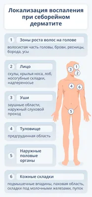 Жирная себорея – лечение жирной себореи кожи головы в Москве, цены –  An-Tech Labs