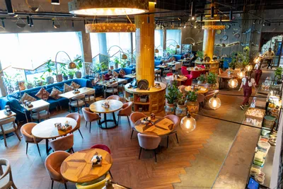 Ресторан «7 НЕБО» в Останкино: меню, цены, бронирование столика онлайн