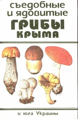 Какие грибы собирают осенью в Крыму? | Пикабу