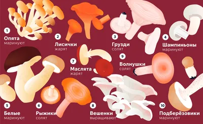 В Волгоградской области 50 человек отравились грибами