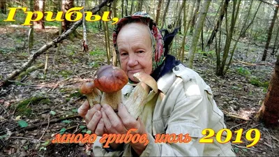Советует специалист: грибы, опасные для здоровья | 28.09.2021 | Нижнекамск  - БезФормата