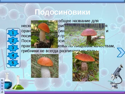 https://volgograd.leroymerlin.ru/product/sadovaya-figura-horoshie-suveniry-grib-podosinovik-troynoy-malyy-21-sm-90756307/