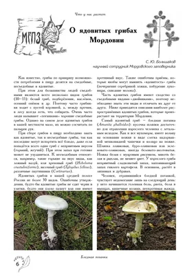 О ядовитых грибах Мордовии – тема научной статьи по биологическим наукам  читайте бесплатно текст научно-исследовательской работы в электронной  библиотеке КиберЛенинка