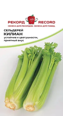 Сельдерей черешковый Нугет (0,5 гр.) (Элком Семена) — купить по цене 21руб.  👉 артикул — 1,0888 Интернет магазин DachaRU 🏡 Москва 📞8 (800) 500-83-66