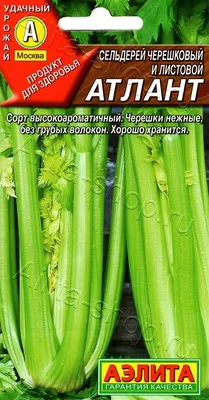 Семена зелени Сельдерей черешковый Танго купить в Украине | Веснодар