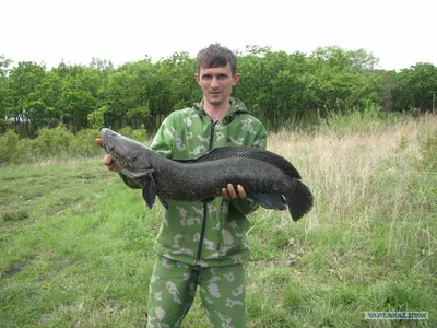 2 место на заключительном этапе Голавль ПЛЮС - 2014