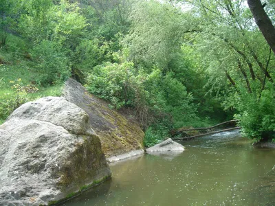 Вінниччина: палаци, парки та село Буша • dovkola