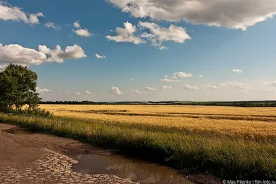 Заповедник «Буша»