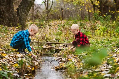 Семейная фотосессия в осеннем лесу