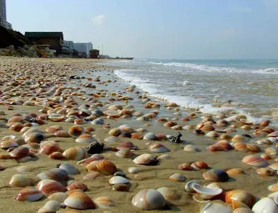 Пляжи Феодосии 2024: песчаные, галечные, частные, дикие. Фото, видео,  отзывы, цены – Туристер.Ру