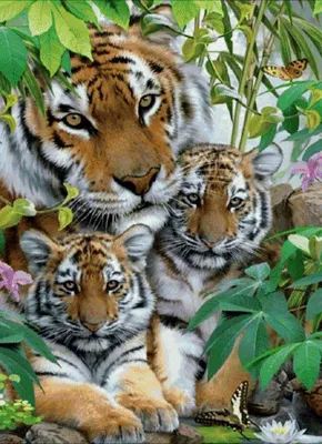 семейство тигров в фоновом режиме лесного ландшафта Иллюстрация вектора -  иллюстрации насчитывающей кот, свирепо: 229811714