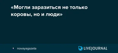 На планерке глава Кавказского района Виталий Очкаласов предложил подвести  предварительные итоги года - Огни Кубани