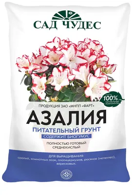 Рододендроны, Азалия Григорьев многолетник - купить по выгодным ценам в  интернет-магазине OZON (1130655315)