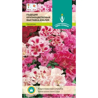 Семена годеция Дом семян Азалия 44801 1 уп. - купить в Москве, цены на  Мегамаркет