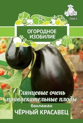 Семена Баклажан Альбион (А) 0,1гр купить в интернет-магазине Доминго