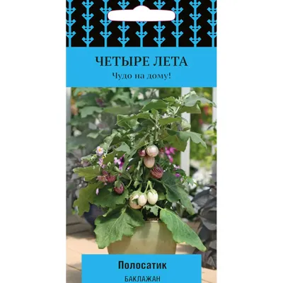 Сибирский сад баклажан_семена99372 - купить по выгодным ценам в  интернет-магазине OZON (437102159)