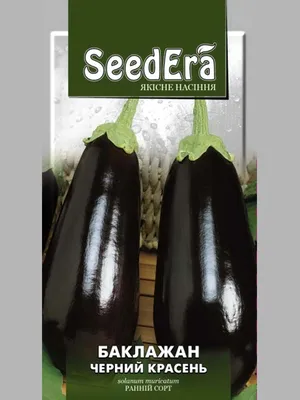 Семена Баклажан Боярин F1 0,2г купить в интернет-магазине Доминго