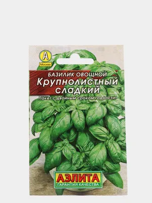 Семена базилик Зеленый - купить по оптовой цене!