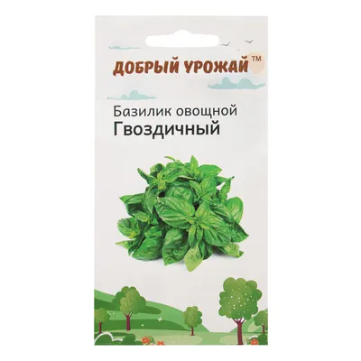 Семена Базилика И Семена Чиа Пить С Помощью Миски Деревянной Ложкой —  стоковые фотографии и другие картинки Антиоксидант - iStock