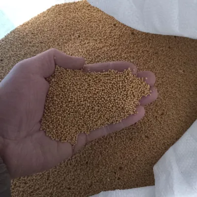 Горчица белая семена микрозелени Agrocity купить, цена в интернет-магазине  Супермаркет Семян