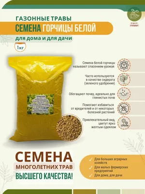 Семена горчицы белой пищевые 250г. (ID#1777325245), цена: 50 ₴, купить на  Prom.ua