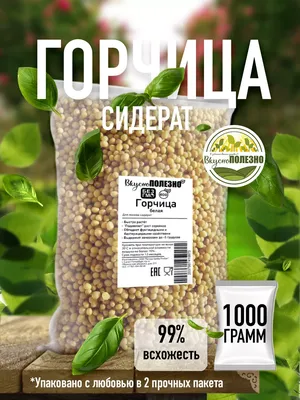 Семена горчицы — специя, использование, растение | Kotányi