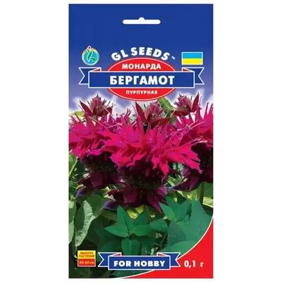 Семена цветов бергамота-монарды GL Seeds For Hobby, Бергамот, 0,1 г - ОЛДІ