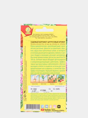 Монарда Проверенные семена Вкус бергамота - купить по выгодным ценам в  интернет-магазине OZON (334819016)