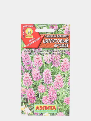 Семена \"Бергамот Цитрусовый аромат\" купить по цене 49 ₽ в интернет-магазине  KazanExpress