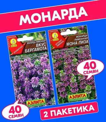 Семена Монарда лимонная \"Вкус бергамота\" набор 1, 3, 5 уп купить по цене 44  ₽ в интернет-магазине KazanExpress