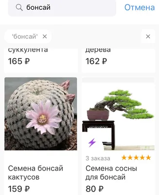 Наборы семян бонсай - ведущий поставщик набора для выращивания в  Китае「Garden Kit」