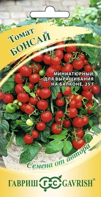 Можевельник бонсай семена: 25 грн. - Сад / город Одеса на Olx