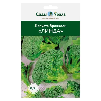 Брокколи Калабрезе 100 гр. (Семена для микрозелени) - MamaGreens.ru