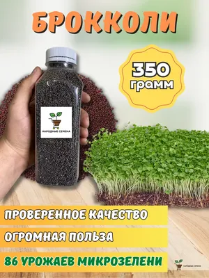 Органические семена брокколи Стоковое Изображение - изображение  насчитывающей органическо, экземпляр: 99544733