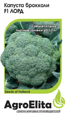 ✓ Семена Капуста брокколи Лорд F1, 10шт, AgroElita, Seminis по цене 43,20  руб. ◈ Большой выбор ◈ Купить по всей России ✓ Интернет-магазин Гавриш ☎  8-495-902-77-18